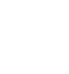 saxenhammer karriere Transaktionen